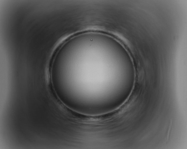 X0000099951271200805301229