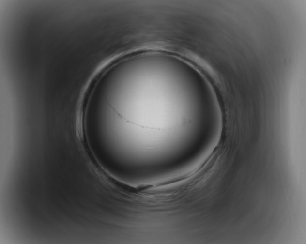 X0000099951272200805301229