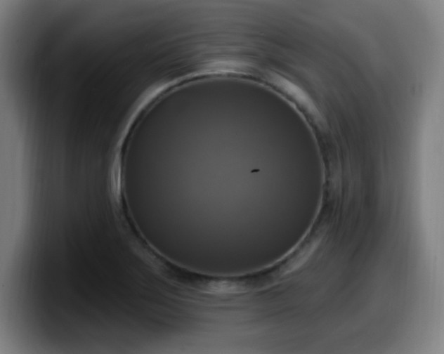 X0000099951275200805301229