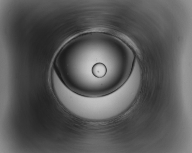 X0000099951276200805301229