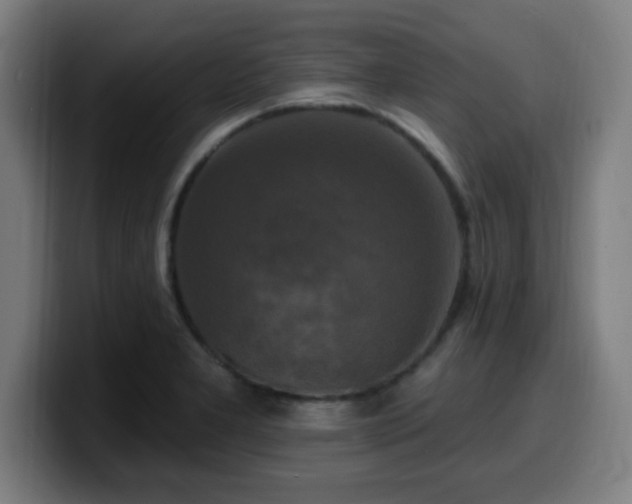 X0000099951277200805301229