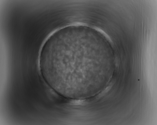 X0000099951278200805301229