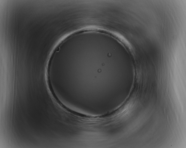 X0000099951279200805301229