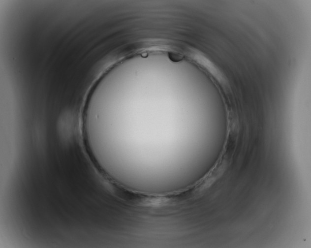 X0000099951282200805301229
