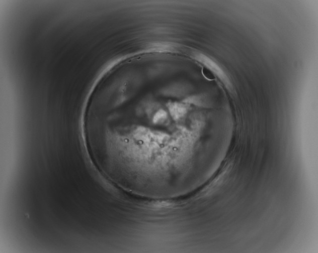 X0000099951283200805301229