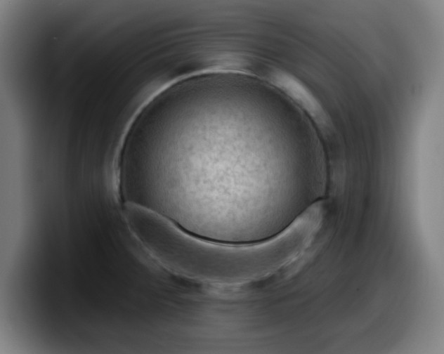 X0000099951284200805301229