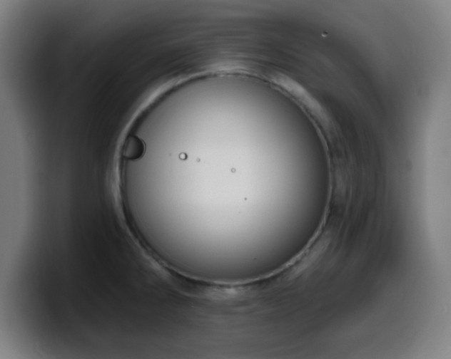 X0000099951286200805301229