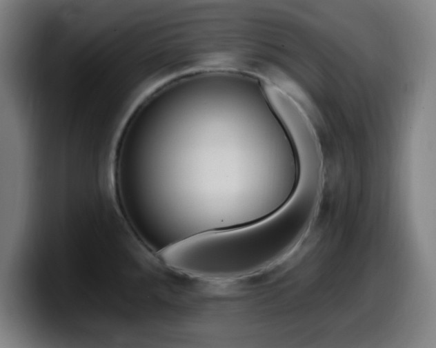 X0000099951288200805301229
