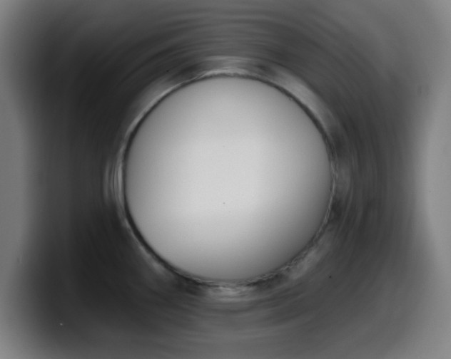 X0000099951290200805301229