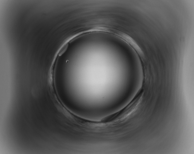 X0000099951292200805301229