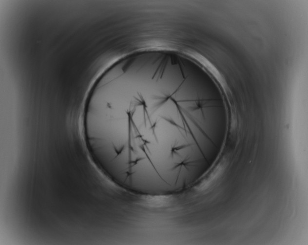 X0000099951293200805301229