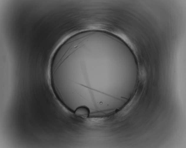 X0000099951294200805301229