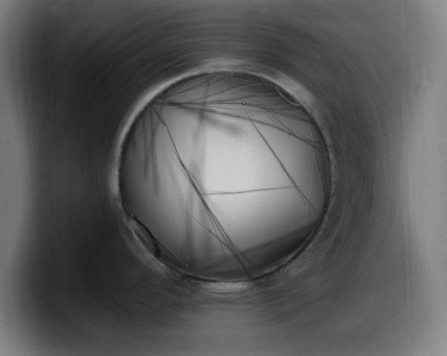 X0000099951296200805301229