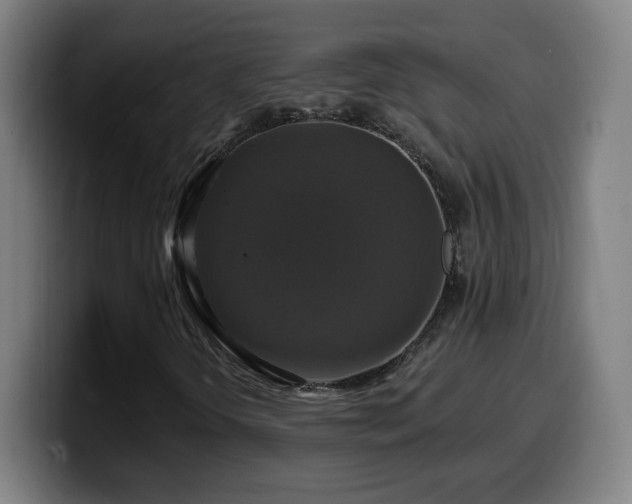 X0000099951298200805301228