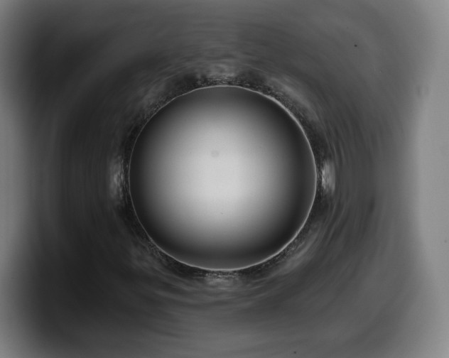 X0000099951299200805301229