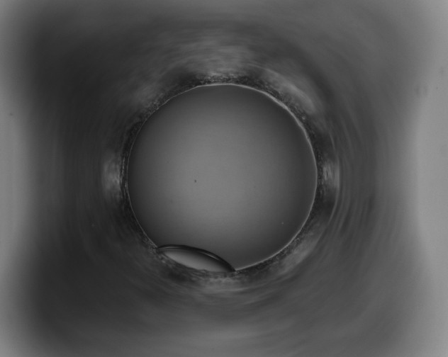 X0000099951300200805301229