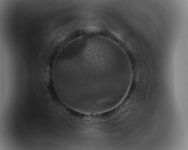 X0000099951301200805301229