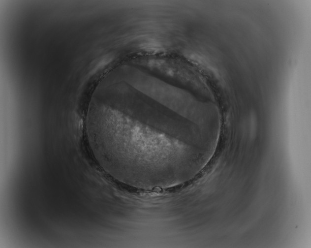 X0000099951302200805301229