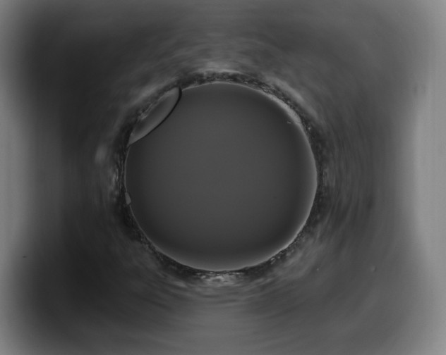 X0000099951303200805301229