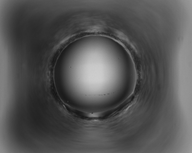 X0000099951304200805301229