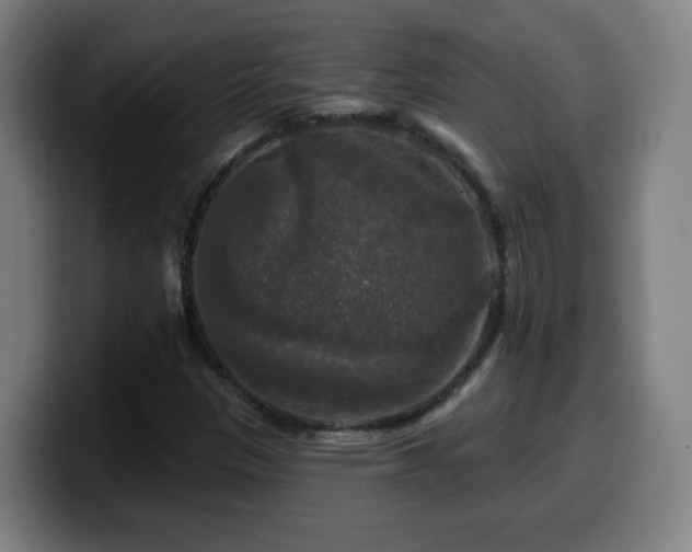 X0000099951305200805301229