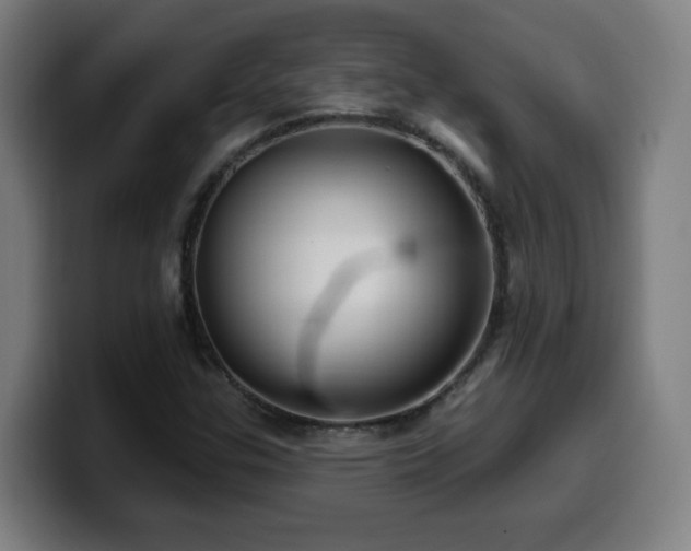 X0000099951307200805301229