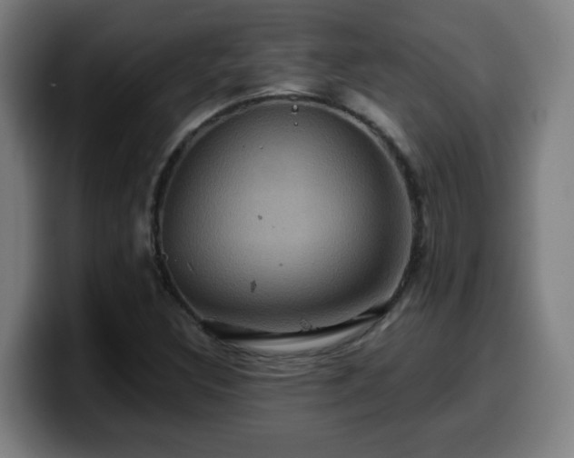 X0000099951308200805301229