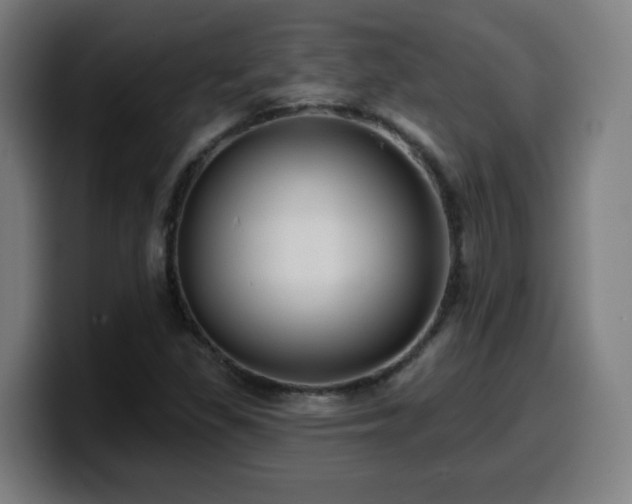 X0000099951309200805301229