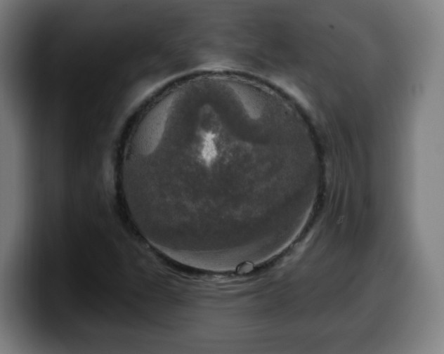 X0000099951311200805301229