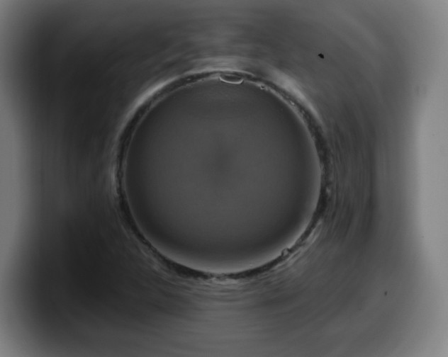 X0000099951312200805301229