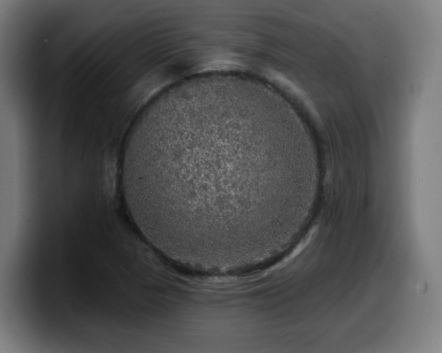 X0000099951313200805301229