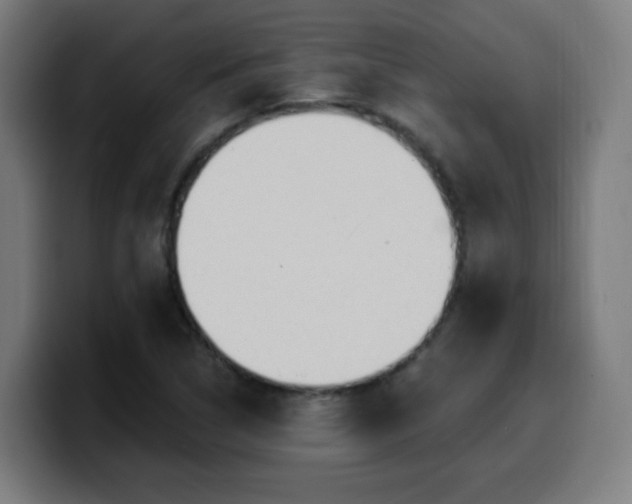 X0000099951314200805301229