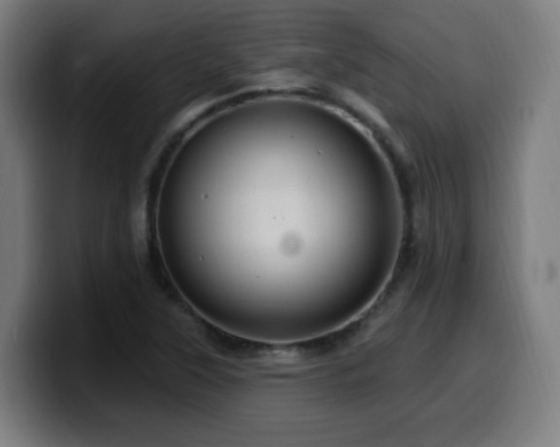 X0000099951315200805301229