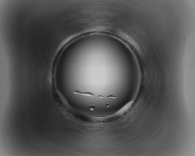 X0000099951316200805301229