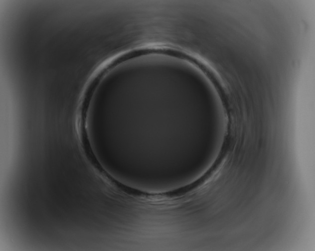X0000099951319200805301229
