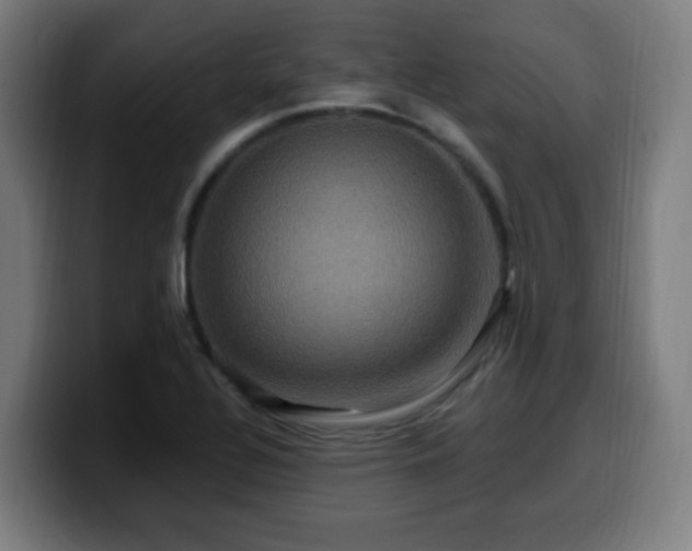X0000099951320200805301229