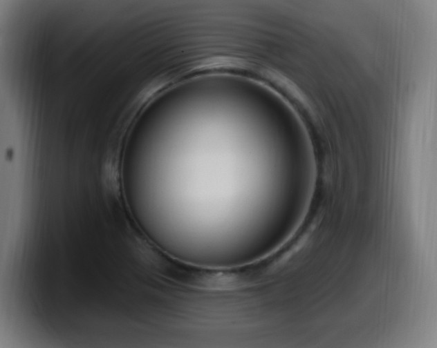 X0000099951321200805301229