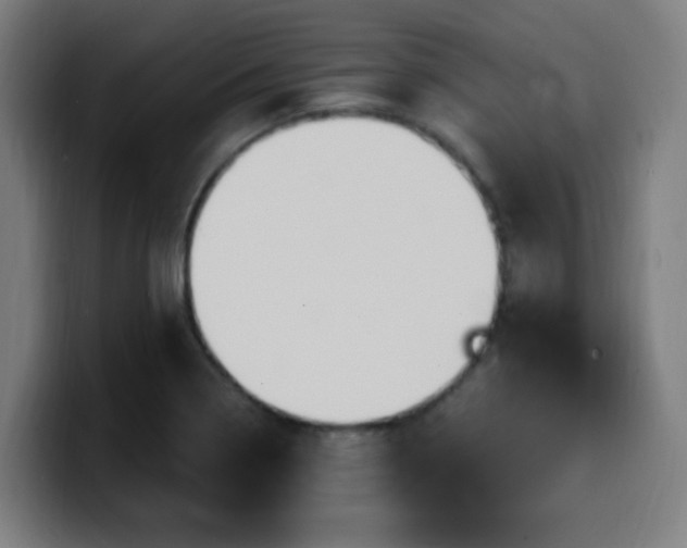 X0000099951322200805301229