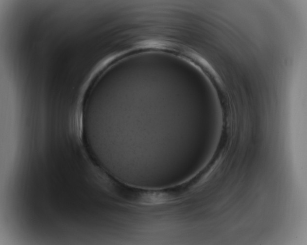 X0000099951323200805301229