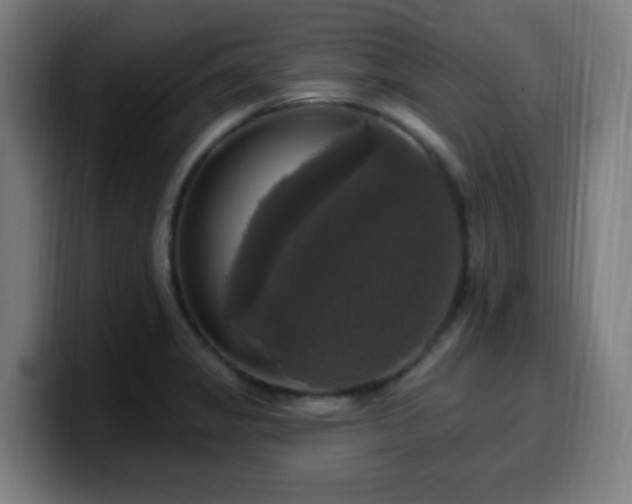 X0000099951325200805301229