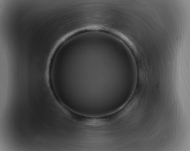 X0000099951327200805301229