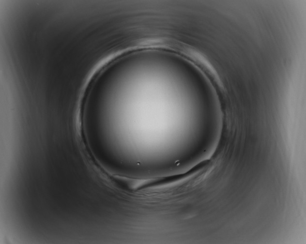 X0000099951328200805301229