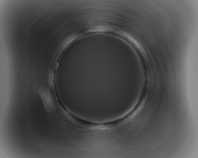 X0000099951329200805301229