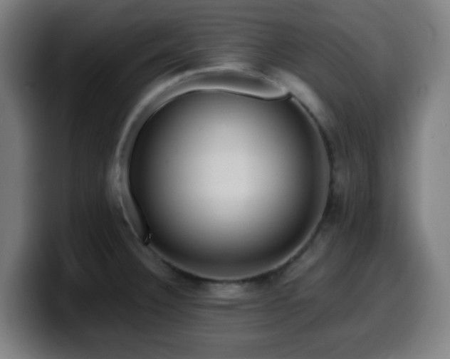 X0000099951332200805301229