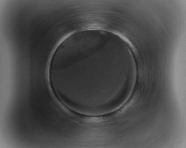 X0000099951333200805301229