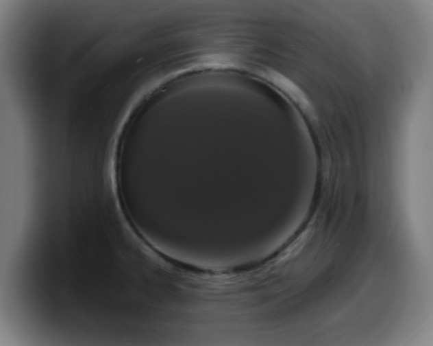X0000099951334200805301229