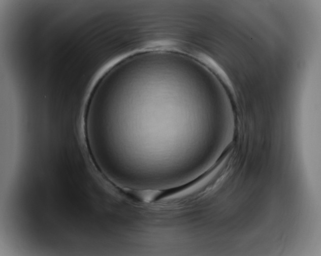 X0000099951336200805301229