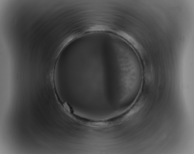 X0000099951337200805301229