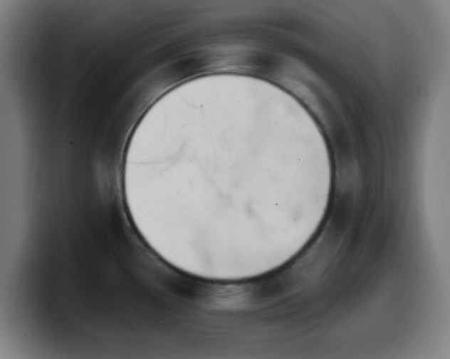 X0000099951338200805301229