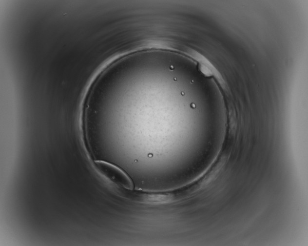 X0000099951339200805301229
